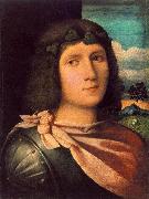 Palma Vecchio Portrait of a Young Man af Spain oil painting artist
